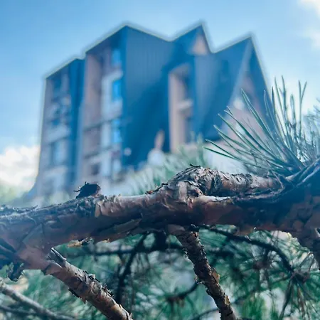 Time Out * Divčibare