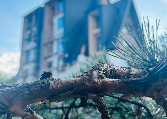 Time Out * Divčibare